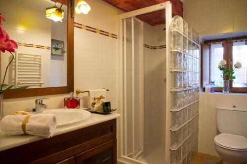 y baño con lavabo, ducha y aseo. en Casa Rural Lazkano en Sierra de Urbasa, en San Martín