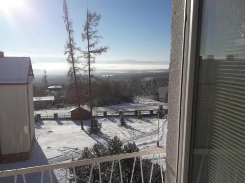 Apartman Dominik v zimě