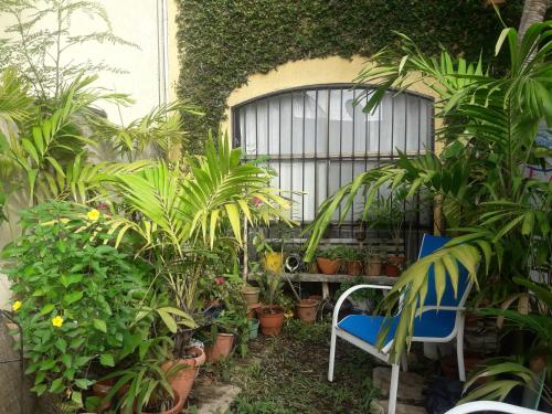 a garden with a blue chair and some plants at Casa Luz Verde in Cancún