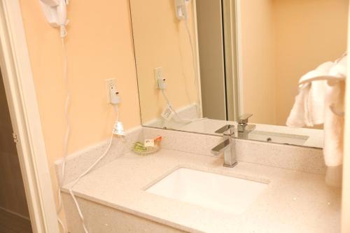 a bathroom with a sink and a mirror at Fullerton Manor Inn in Niagara Falls