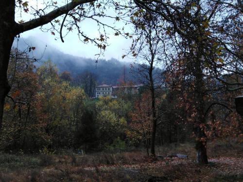 a house on top of a hill with trees at Complex Magic of the Rhodopes in Bachkovo