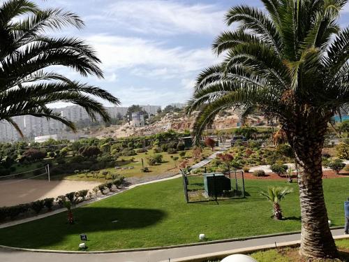 a park with palm trees and a basketball hoop at Departamento San Alfonso in Algarrobo