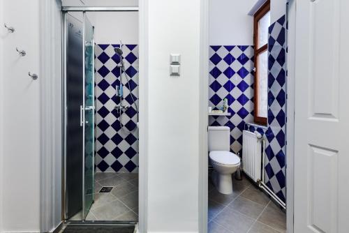 ジェールにあるGold Apartment - Győrのバスルーム(シャワー、トイレ付)