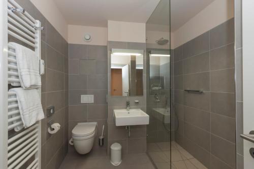 a bathroom with a toilet and a sink and a shower at Alpenresidenz Buchenhöhe in Berchtesgaden