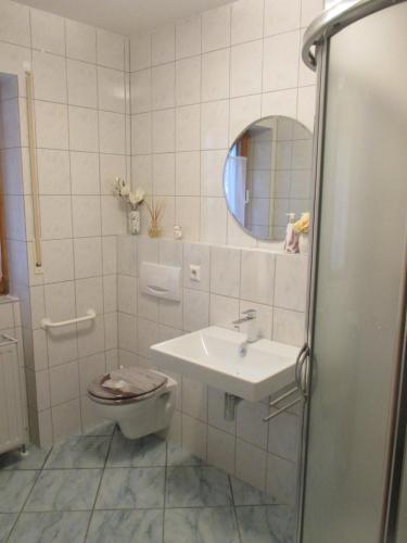 a bathroom with a toilet and a sink and a mirror at Apartment Barbara in Regensburg