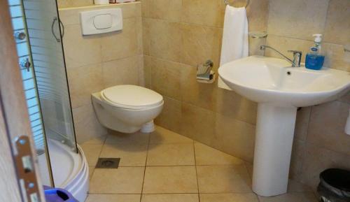 Koupelna v ubytování Villa Sofia, Žvinje