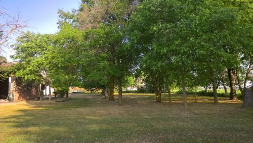 a group of trees in a field with grass at Agriturismo Cipolli e Podò Corte Carlini in Mantova