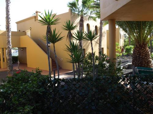Appartamento in Oasis tropicale