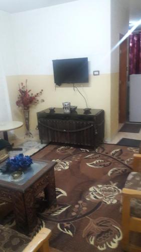 TV a/nebo společenská místnost v ubytování Al Seoudi Furnished Units