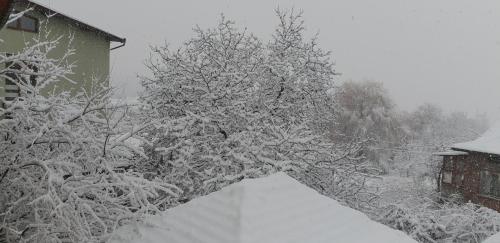 Billede fra billedgalleriet på Kyurkchievi Guest House i Sapareva Banya