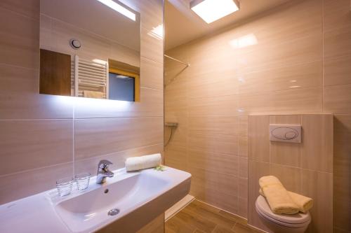 a bathroom with a sink and a toilet at Johannishof in Stumm