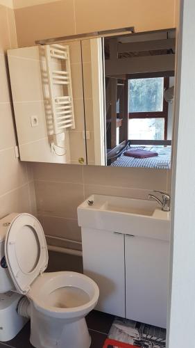 une salle de bain avec toilettes, lavabo et miroir dans l'établissement Royal - Liza's house, à Saint-Germain-en-Laye