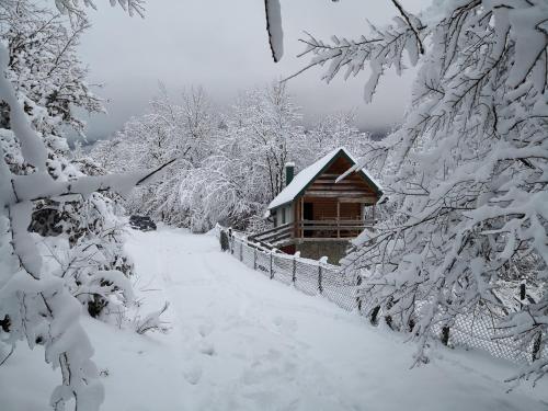 a cabin covered in snow with a fence and trees at Koliba Pčelica 1-SPA in Bijelo Polje