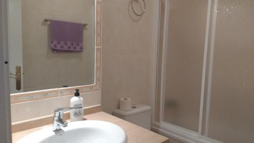ラ・イスレタ・デル・モロにあるTrendy Homes Apartamento Isletaのバスルーム(シンク、シャワー、トイレ付)