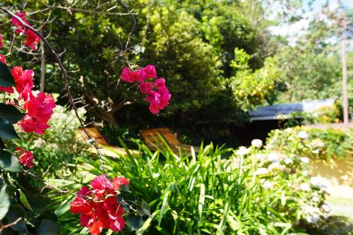 Ein Garten an der Unterkunft Agaseke Lodge Boquete