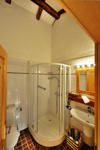 ein Badezimmer mit Dusche, Toilette und Waschbecken in der Unterkunft Herberge an der Nikolauszeche in Purbach am Neusiedlersee