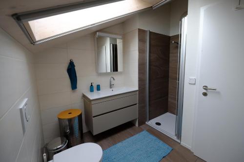 a bathroom with a sink and a shower at Great View in Kehrsatz