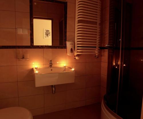 Apartamenty Przy Trakcie Cesarskim tesisinde bir banyo