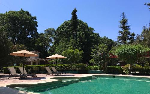 una piscina con dos sillas y sombrillas en Hotel Mi Ranchito, en Xicotepec de Juárez
