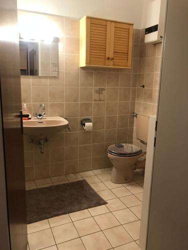 ヴィンターベルクにあるWinterberg Sport Apartment 5のバスルーム(トイレ、洗面台付)