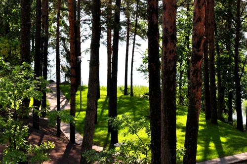 a path through a forest with trees and green grass at Hotel nad Wigrami in Gawrych Ruda