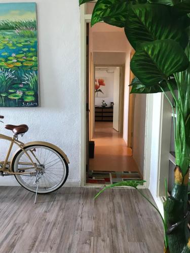 Berbasikal di atau sekitar beach house Cg7p