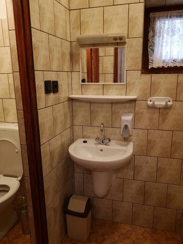 a bathroom with a sink and a toilet at Szűts Vendégház in Fertőrákos