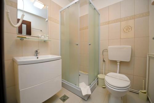 een badkamer met een toilet, een wastafel en een douche bij Vip Motel Restaurant in Haţeg