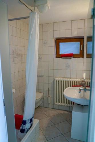 La salle de bains est pourvue d'un lavabo, de toilettes et d'une douche. dans l'établissement Ferienwohnung Roth, à Frickingen