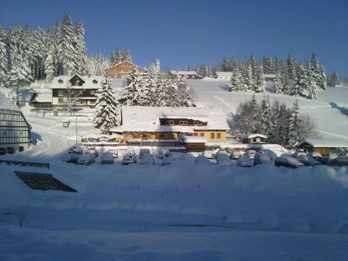 a village covered in snow with trees and buildings at Pension Arnika in Modrava
