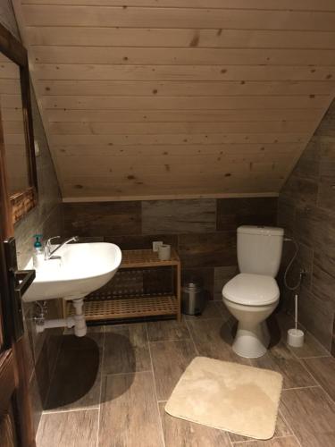 a bathroom with a white sink and a toilet at Privat 66 in Liptovský Trnovec