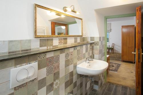 a bathroom with a sink and a mirror at House, Garden and a Green Cat in Bled