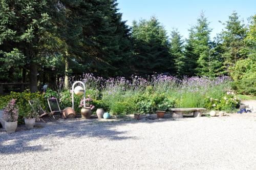 En have udenfor Lundsgaard Bed & Breakfast