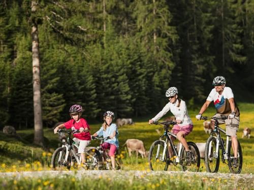 a group of people riding bikes in a field at Landhaus Anja in Neustift im Stubaital
