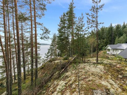 a house on top of a hill with trees at Holiday Home Koivurinne by Interhome in Vuoriniemi