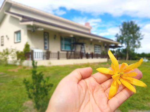 a hand holding a yellow flower in front of a house at 台東鹿野森活 訂房來電付訂確認 in Ruiyuan