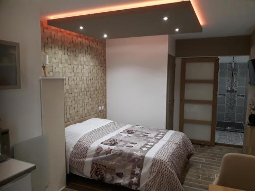 - une chambre avec un lit dans l'établissement Studio mistral, à Valence