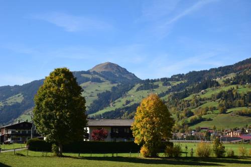 a house in a field with a mountain in the background at Apartment Brandstätter 1 & 2 by Apartment Managers in Brixen im Thale