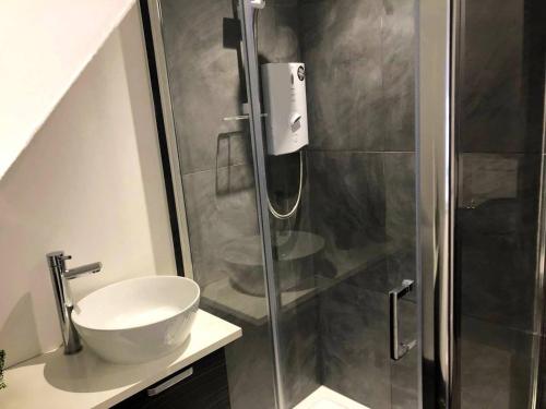 a bathroom with a shower with a sink and a toilet at Boutique Loft Apartment in Dunkeld