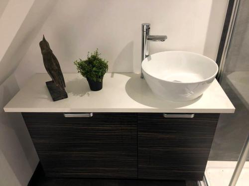 a bathroom counter with a sink and aactedactedactedactedactedactedactedacted at Boutique Loft Apartment in Dunkeld