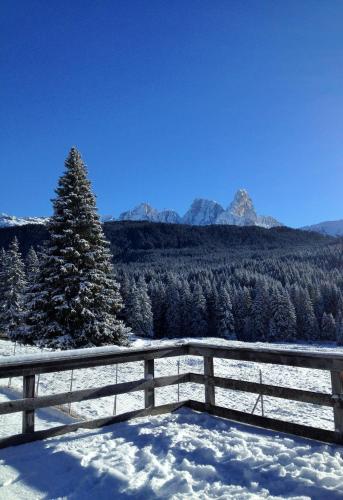a winter view of a snowy mountain with a tree at Hotel Mirabello - Slow Hotel Benessere in Fiera di Primiero