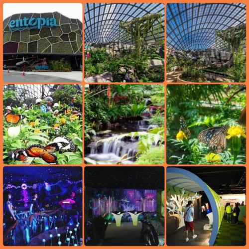 a collage of pictures of attractions at an amusement park at M's Place Chalet Bed&Breakfast in George Town
