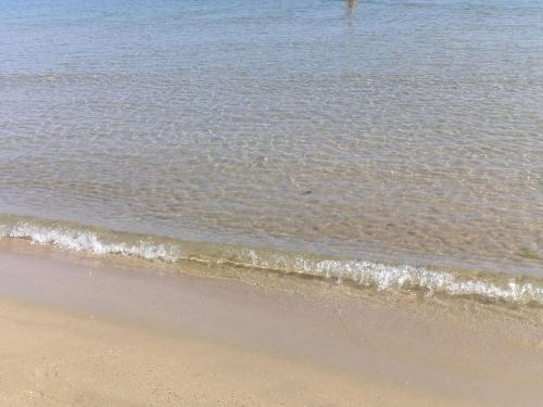 a beach with the ocean and the shoreline at Blue Apartment in Pescara