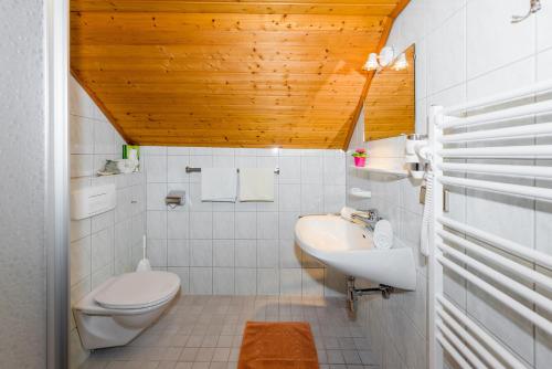 a bathroom with a white toilet and a sink at Linharterhof in Haus im Ennstal