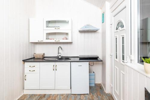 Η κουζίνα ή μικρή κουζίνα στο BonTon Apartments Sibiu