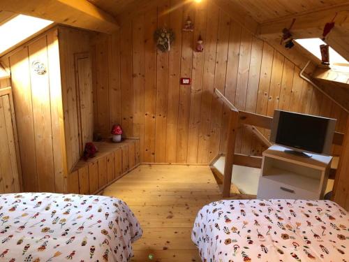 pokój z łóżkiem i telewizorem w kabinie w obiekcie Casa Margherita w mieście Tarvisio