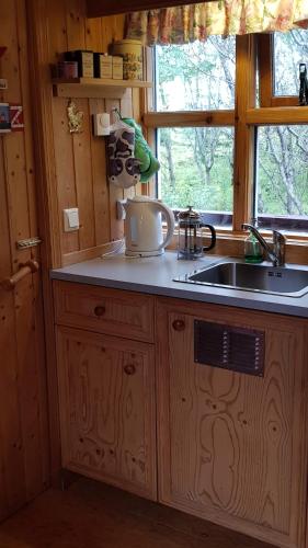 Kuchyň nebo kuchyňský kout v ubytování Cozy Cabin in the Woods