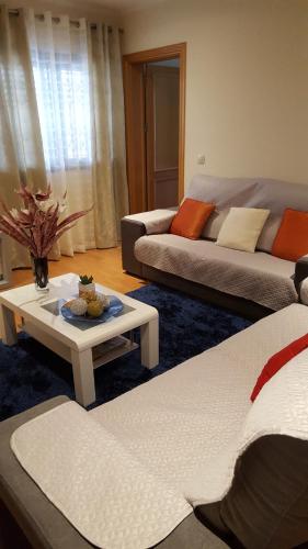 uma sala de estar com um sofá e uma mesa de centro em Private Apartament Celestina & Carlos em Mindelo