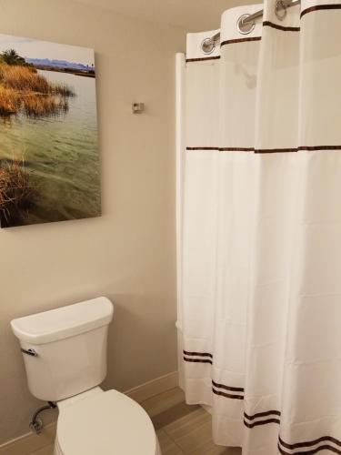 La salle de bains est pourvue de toilettes et d'une peinture murale. dans l'établissement Avi Resort & Casino, à Laughlin