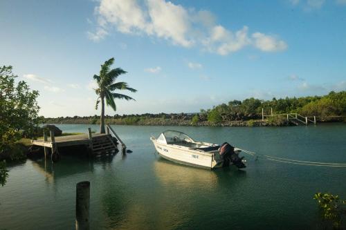 a boat is docked at a dock with a palm tree at Dreamview Villas in Rakiraki